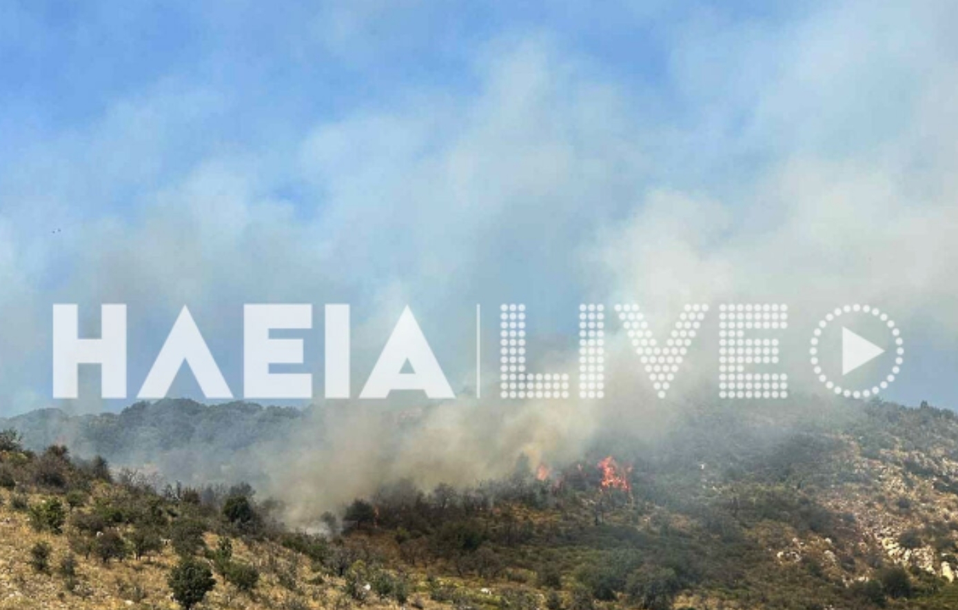 Φωτιά τώρα σε δασική έκταση στη Σπαρτουλιά Ηλείας &#8211; Επιχειρούν εναέρια μέσα