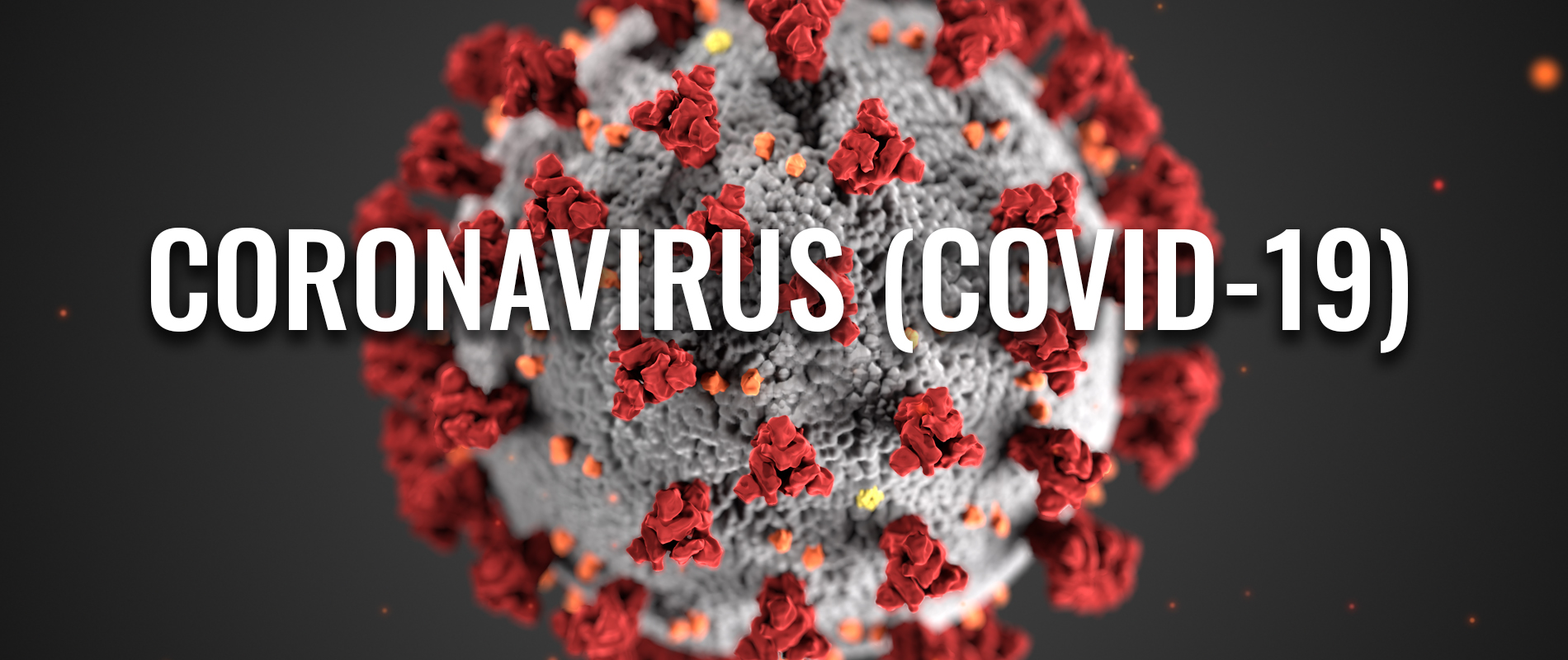 ΕΟΔΥ: Δύο θάνατοι από COVID-19 την τελευταία εβδομάδα και 226 νέες εισαγωγές