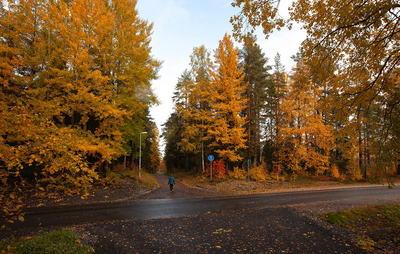 Ουμέο Σουηδία Ουμέο Σουηδία