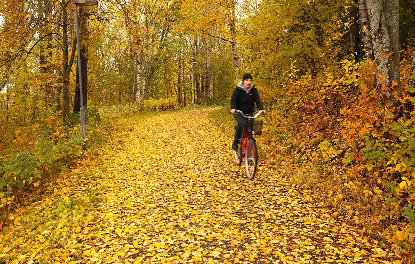 Ουμέο Σουηδία Ουμέο Σουηδία