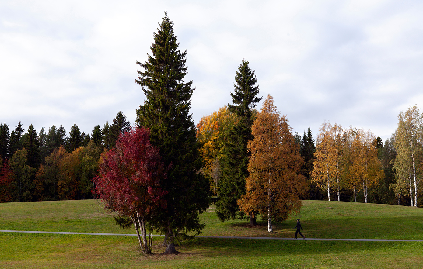 Ουμέο Σουηδία Ουμέο Σουηδία