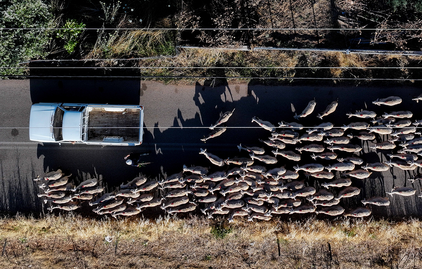 Ο αρχηγός αγροτοσυνδικαλιστής, ο λογιστής και η δικηγόρος που συνελήφθησαν στην Κρήτη για τον ΟΠΕΚΕΠΕ &#8211; Στο Ηράκλειο η «έδρα» τους