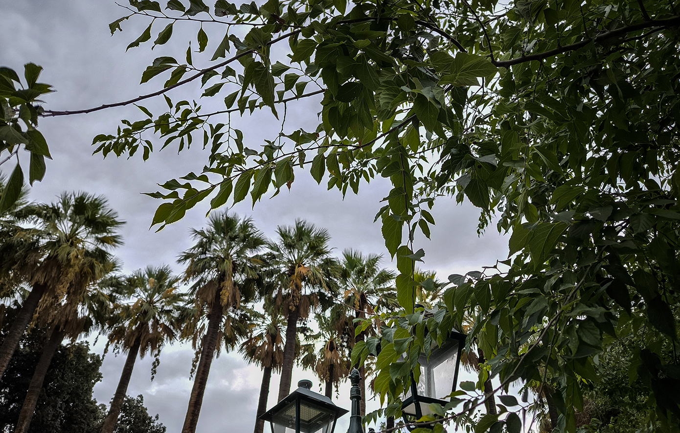 Ήπιος αλλά άστατος ο καιρός: Τοπικές βροχές και βοριάδες στο Αιγαίο &#8211; Νέα άνοδος της θερμοκρασίας από την Τρίτη