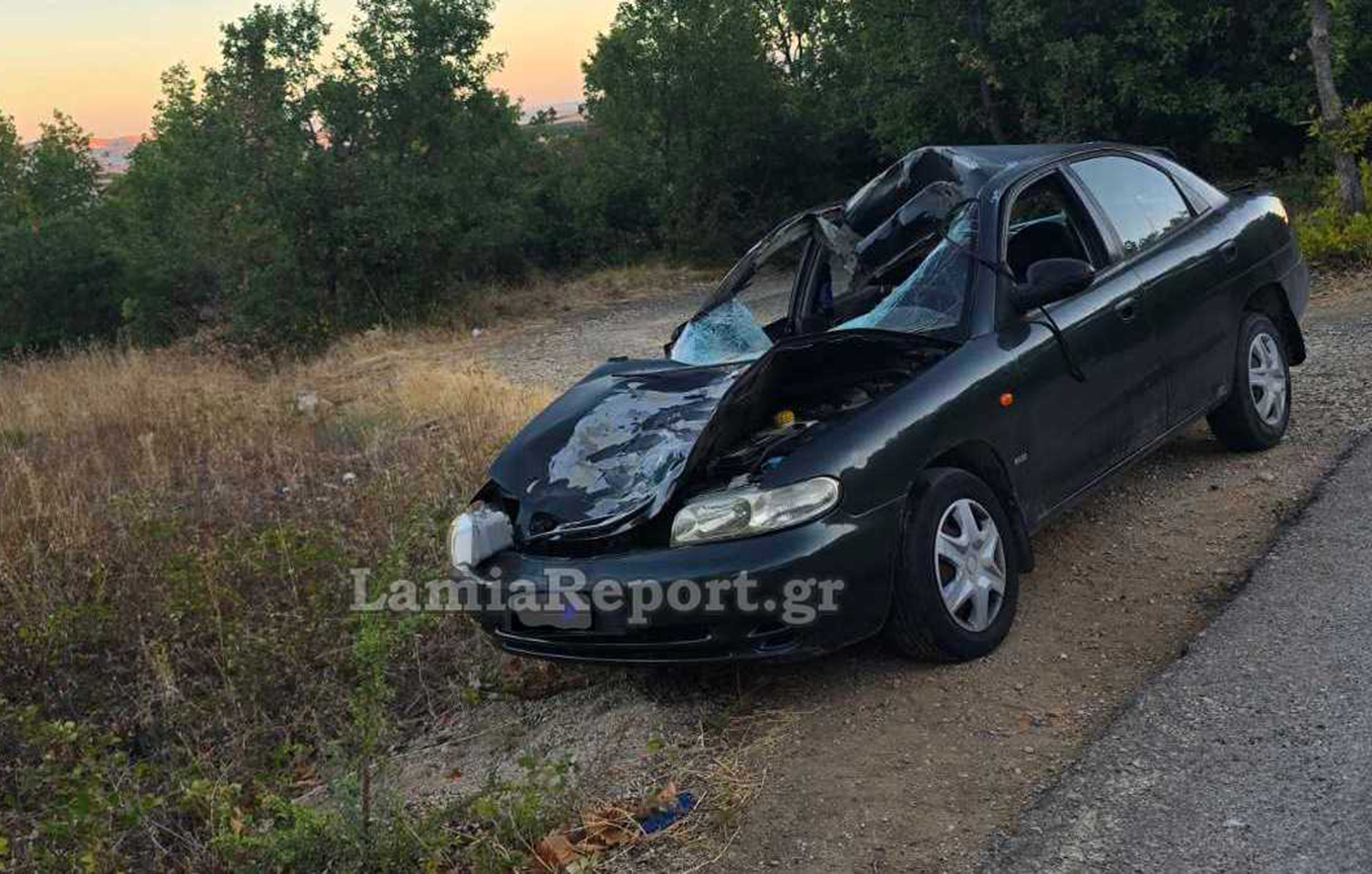 Αυτοκίνητο συγκρούστηκε με αγελάδα στη Φθιώτιδα &#8211; Τραυματίστηκε σοβαρά μια γυναίκα