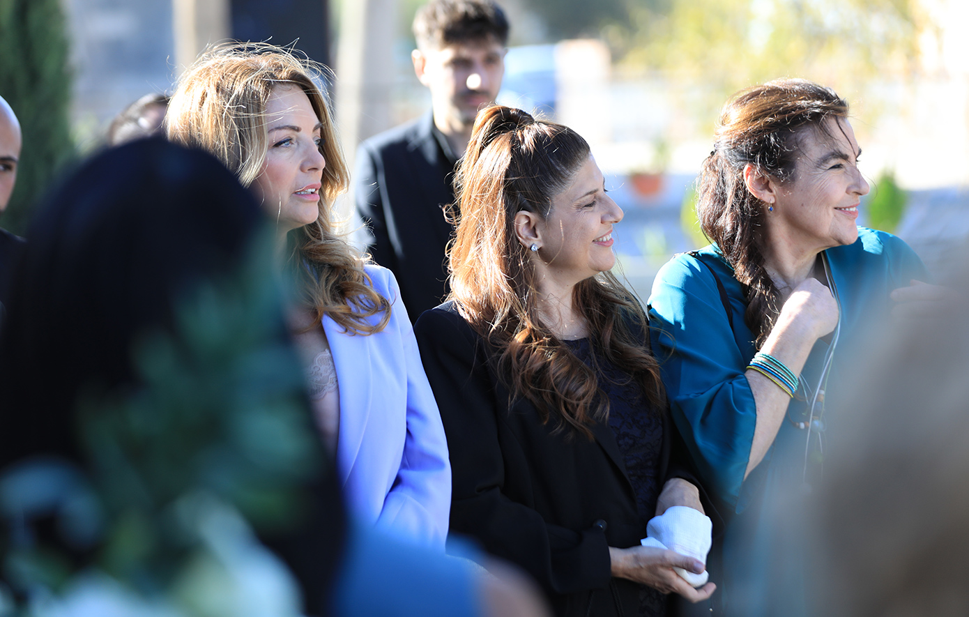 Η γη της ελιάς