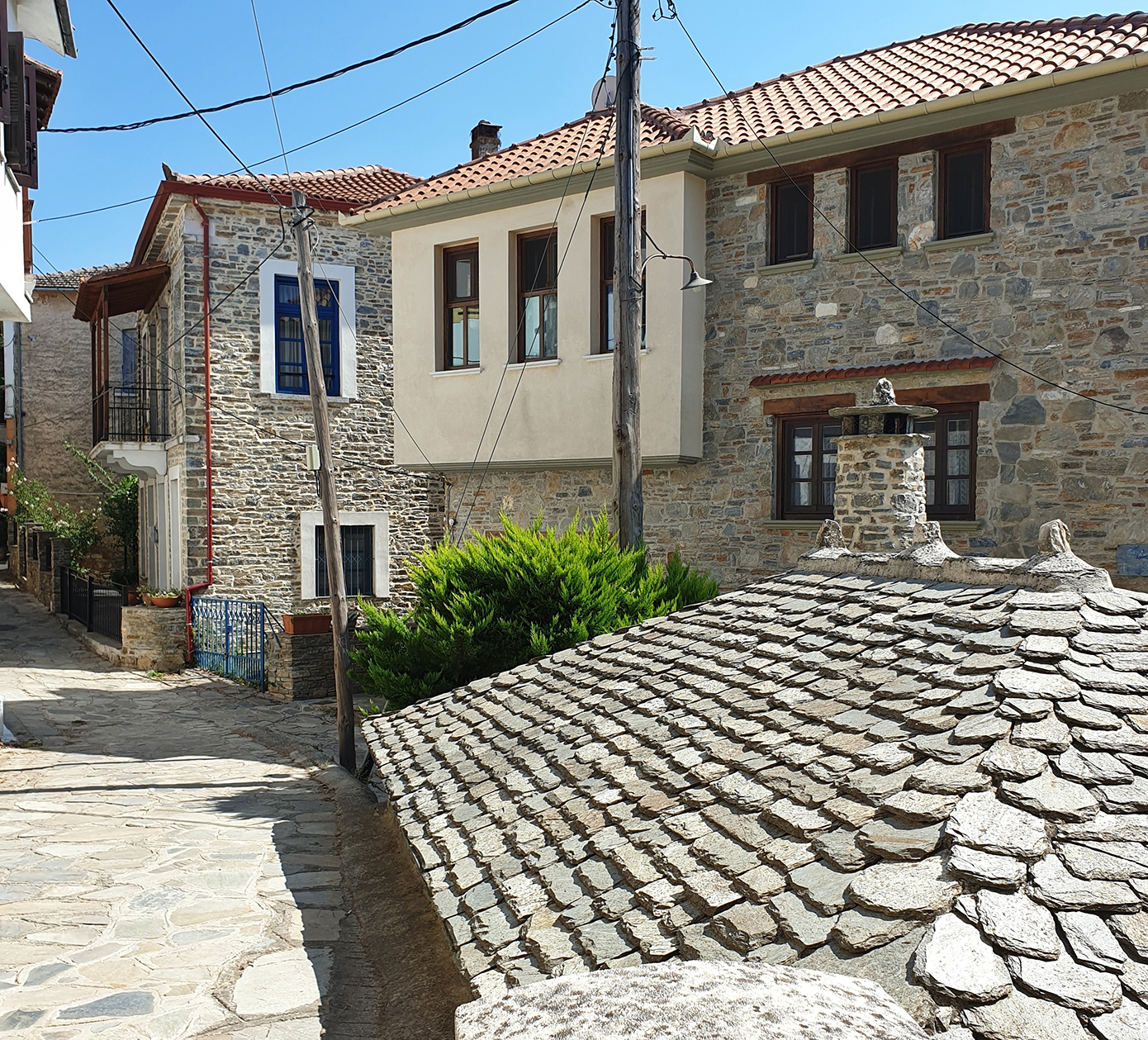 Λαύκος, Πήλιο