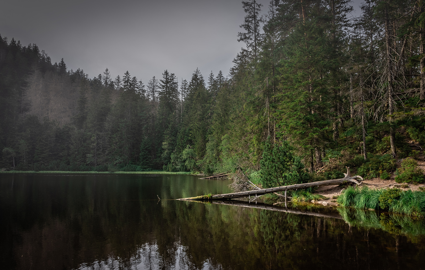 Μέλας Δρυμος Γερμανία Μέλας Δρυμος Γερμανία