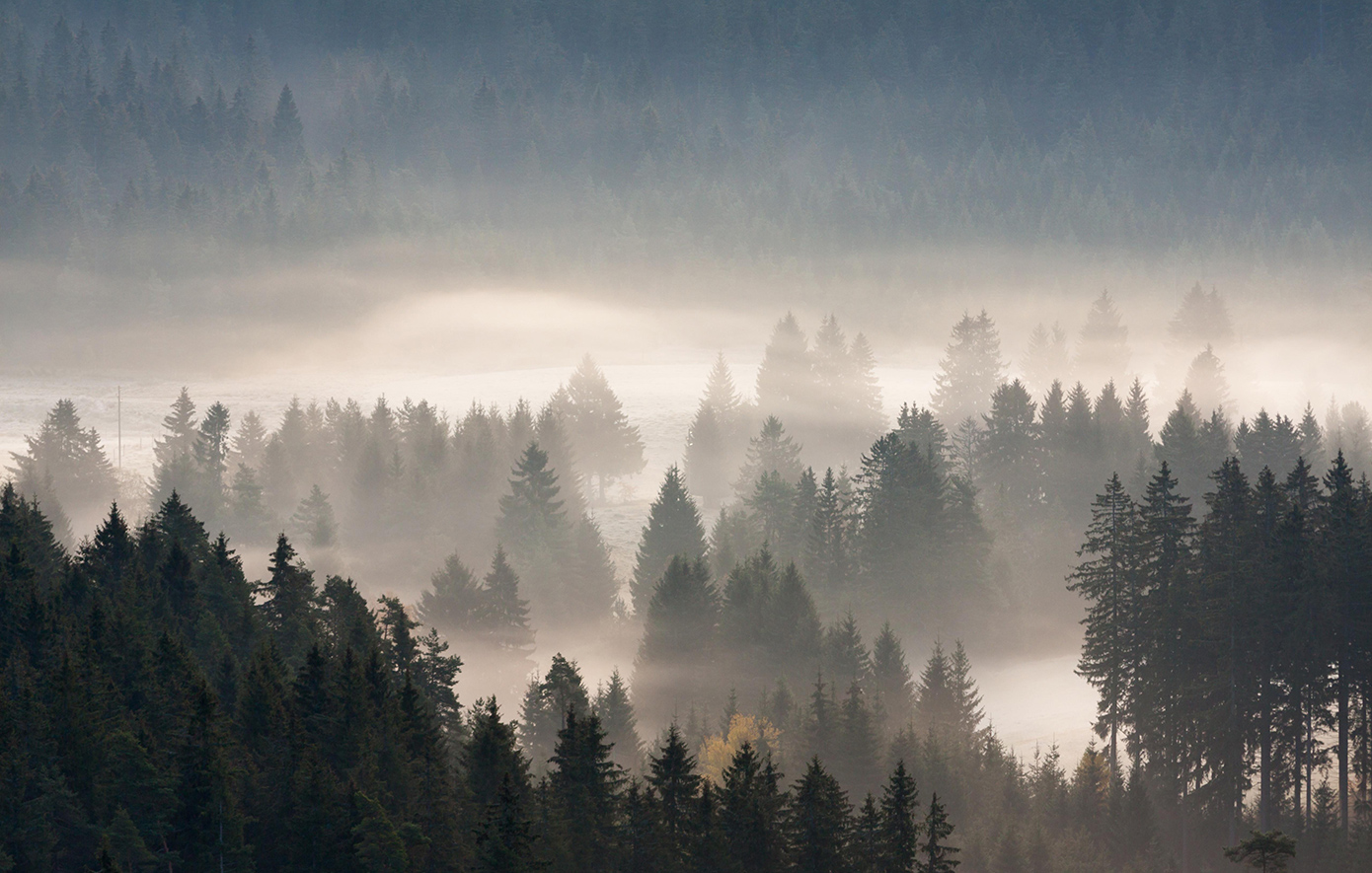 Μέλας Δρυμος Γερμανία Μέλας Δρυμος Γερμανία