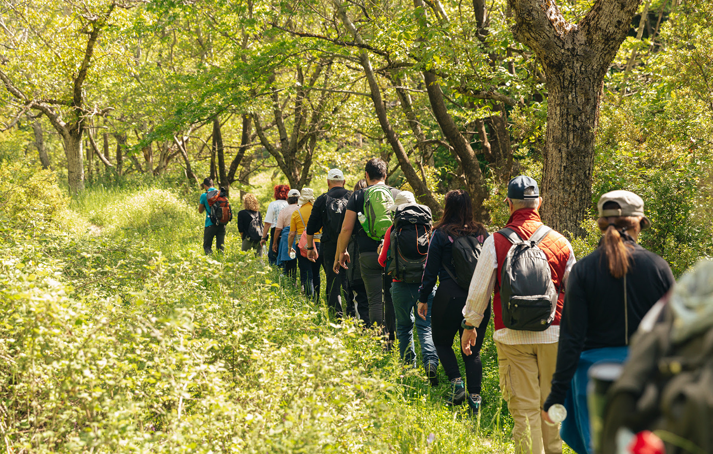 Βαμβακού Λακωνία
