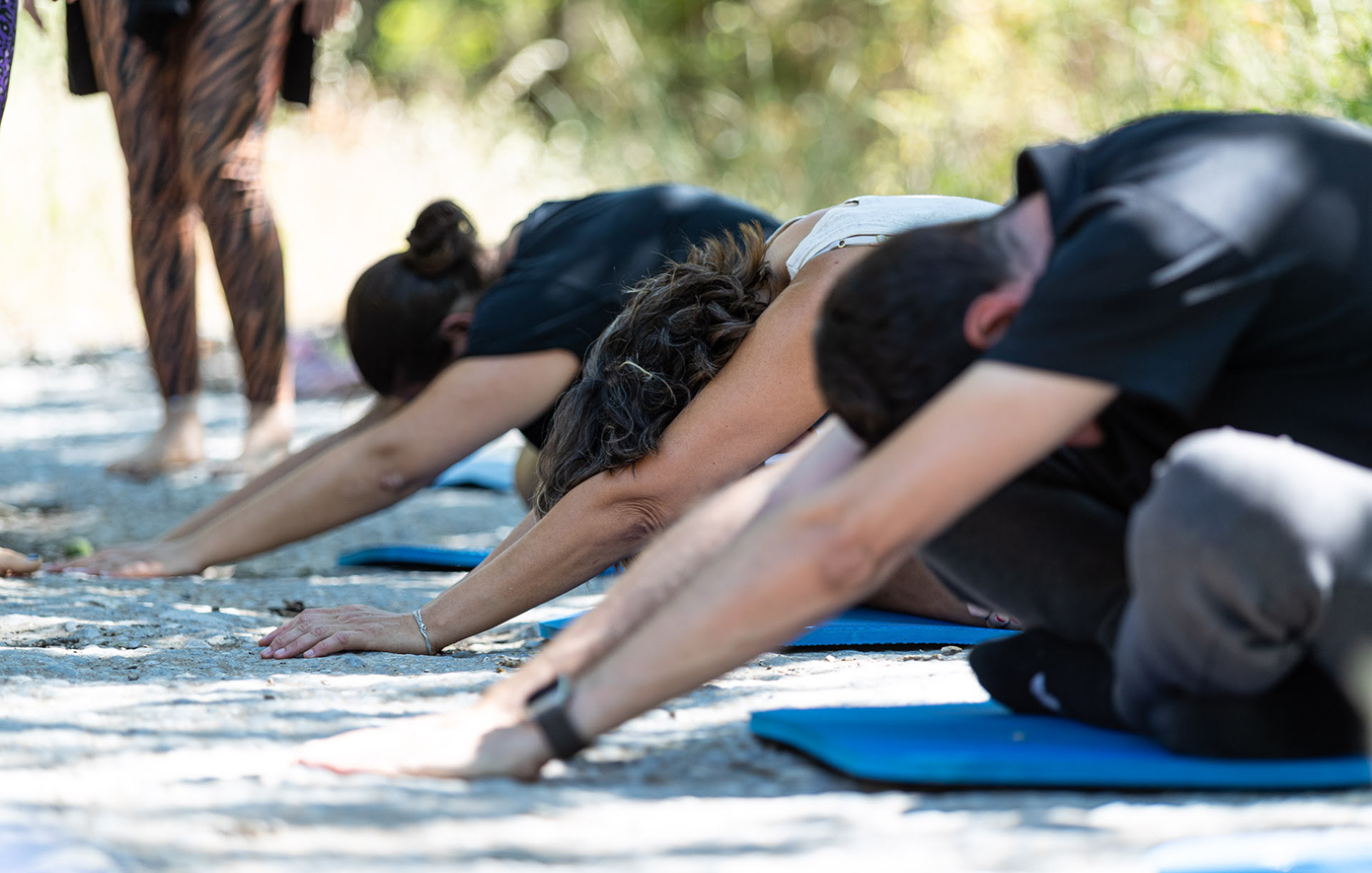 Βαμβακού Λακωνία