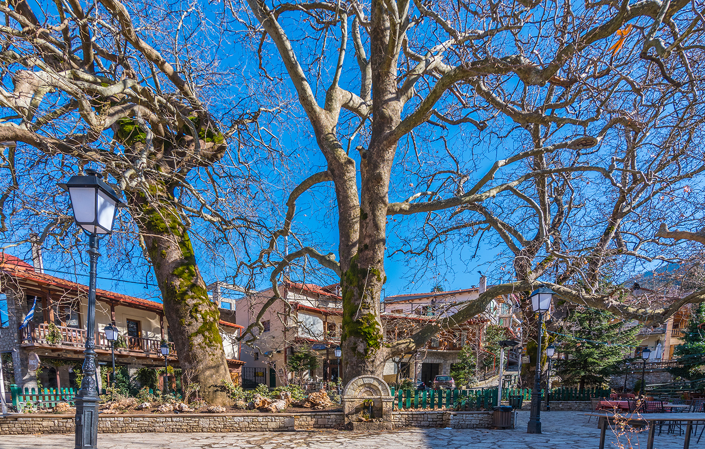 Αγόριανη Παρνασσός