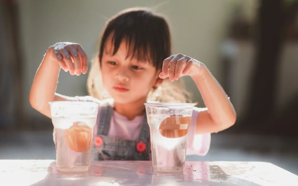 Το «αυγοκέφαλο» που φυτρώνει: Μία φανταστική STEM δραστηριότητα που θα ξετρελάνει κάθε παιδί