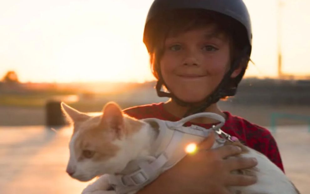 Το παιδί της χρονιάς: 9χρονος θυσίασε κάτι πολύ δικό του για να σώσει κακοποιημένο γατάκι