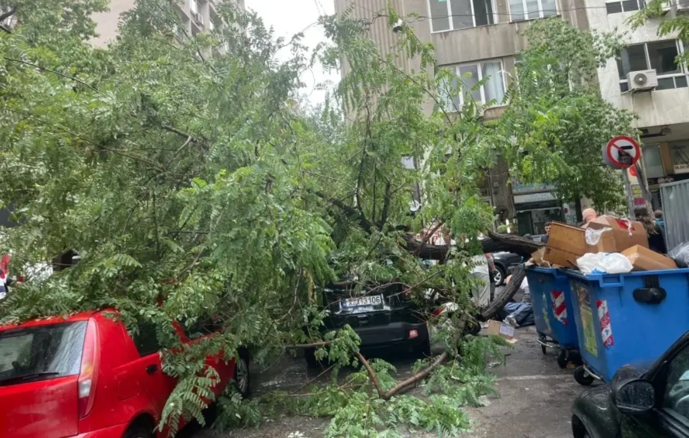 Ατύχημα λόγω της κακοκαιρίας στην Εμμανουήλ Μπενάκη &#8211; Έπεσε δέντρο στον δρόμο, τραυματίστηκε περαστικός