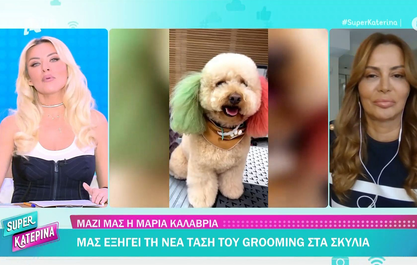 Κατερίνα Καινούργιου και Μαρία Καλάβρια έλυσαν on air την παρεξήγησή τους &#8211; Για τα σκυλιά που είχαν χρώμα στα αυτιά τους