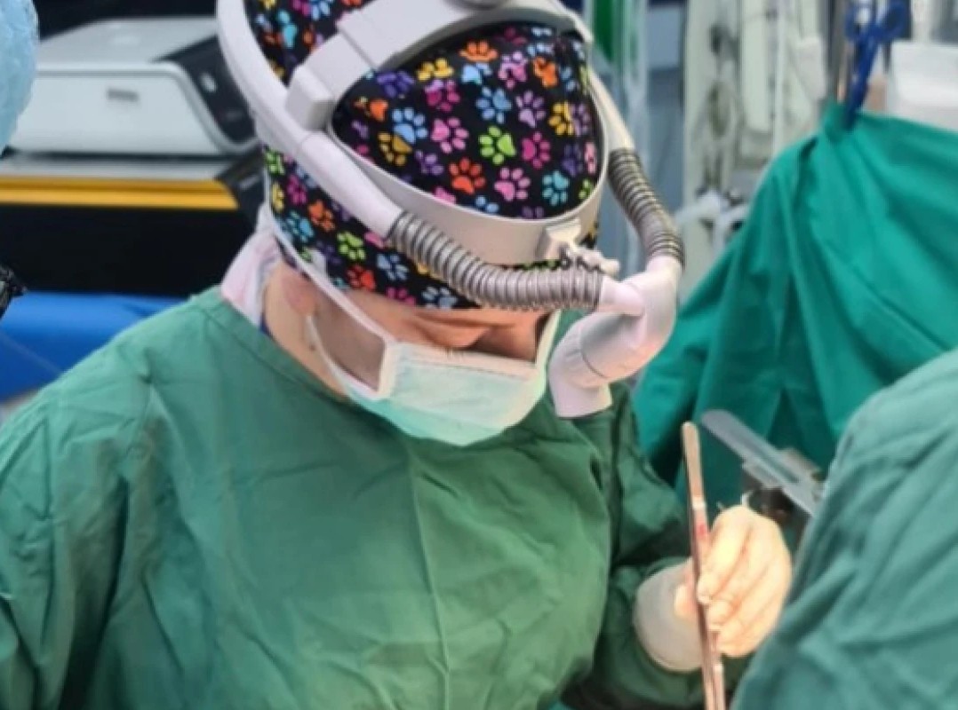 Κωνσταντίνα Ελένη Καρακάση, η πρώτη γυναίκα χειρουργός μεταμοσχεύσεων ήπατος στην Ελλάδα