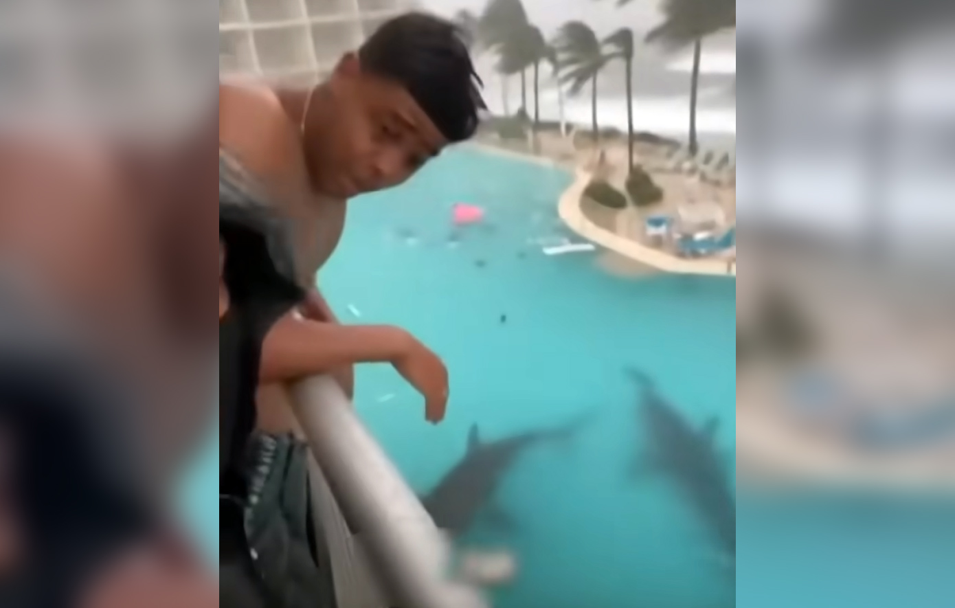 Ψεύτικα βίντεο AI από τον τυφώνα «Μελίσα» που δείχνουν καρχαρίες να κολυμπούν σε δρόμους και σε πισίνες «κατακλύζουν» το TikTok