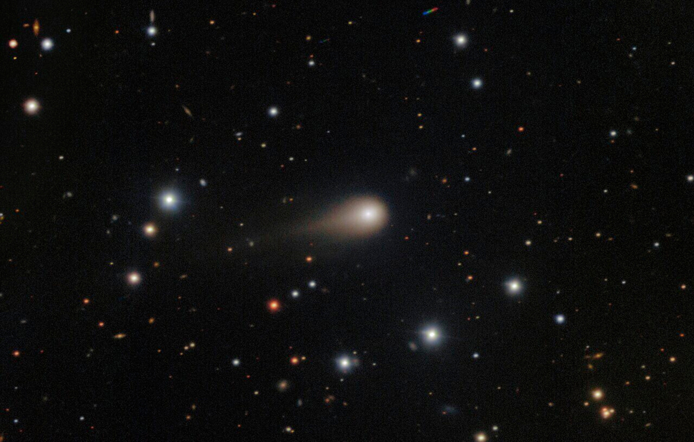 Κομήτης Κομήτης