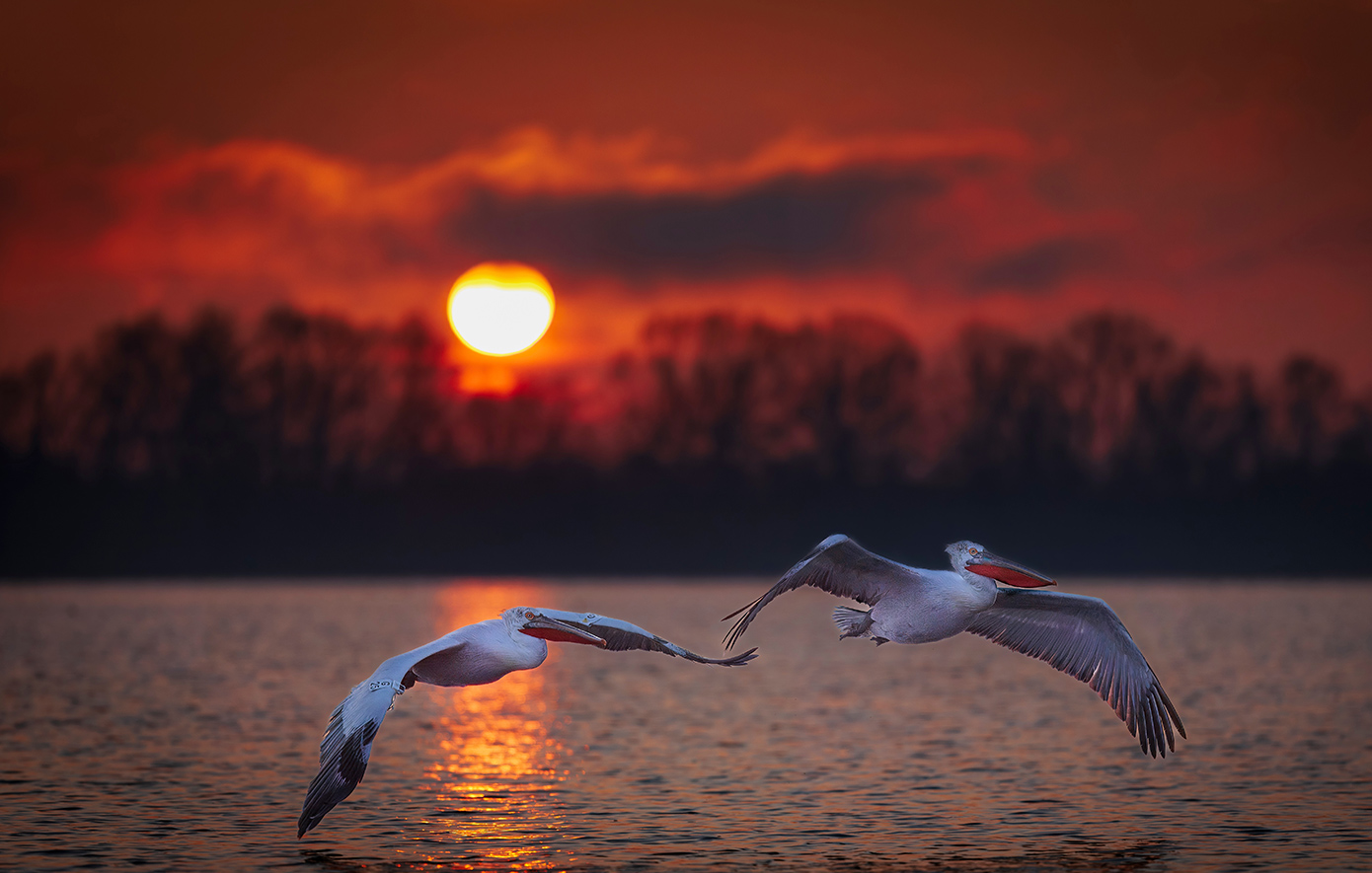Λίμνη Κερκίνη Λίμνη Κερκίνη
