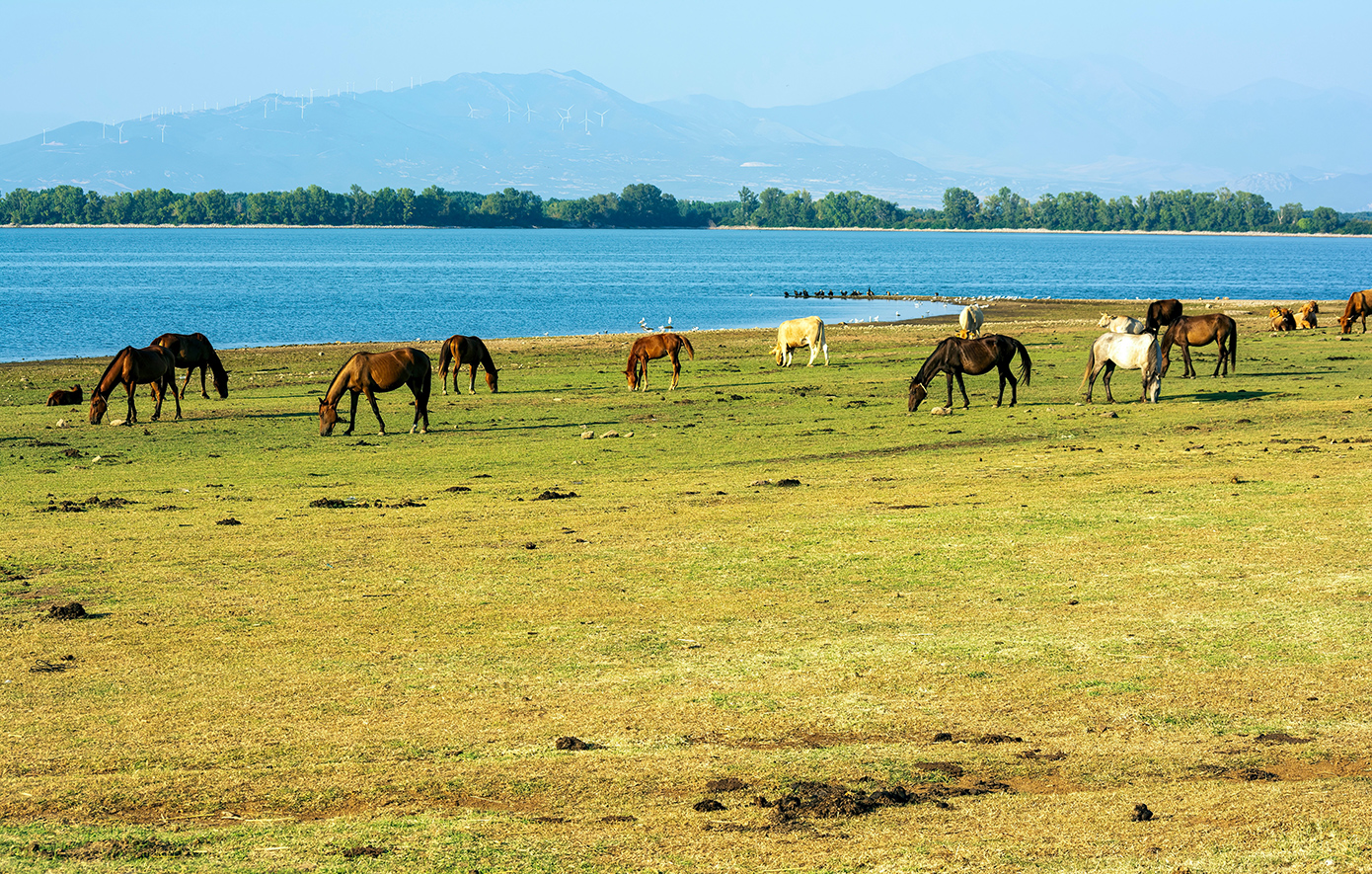 Λίμνη Κερκίνη Λίμνη Κερκίνη