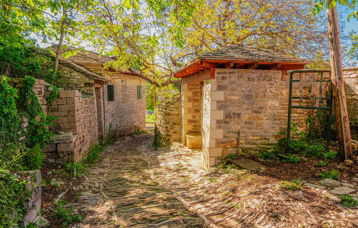 Μονοδένδρι Ζαγόρι Μονοδένδρι Ζαγόρι