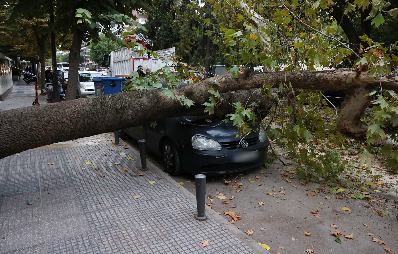 Συναγερμός για δέντρο που έπεσε πάνω σε σταθμευμένο αυτοκίνητο στη Θεσσαλονίκη – Κλειστό το ρεύμα προς Κωνσταντινουπολίτικα