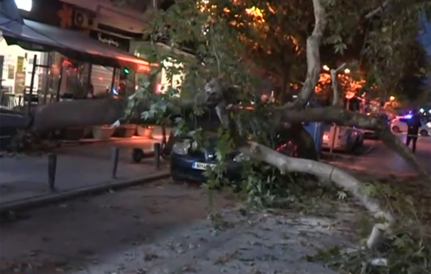 Συναγερμός για δέντρο που έπεσε πάνω σε σταθμευμένο αυτοκίνητο στη Θεσσαλονίκη &#8211; Κλειστό το ρεύμα προς Κωνσταντινουπολίτικα