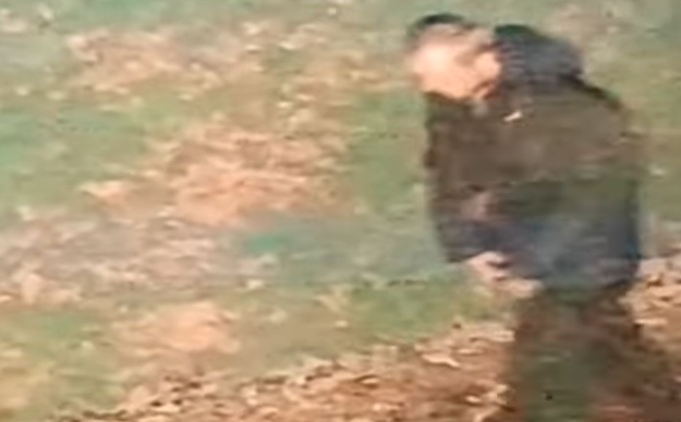 Ανησυχία στη Βρετανία μετά τον νέο βιασμό με ρατσιστικό κίνητρο 20χρονης κοπέλας – Επείγουσα έκκληση για τον εντοπισμό του υπόπτου