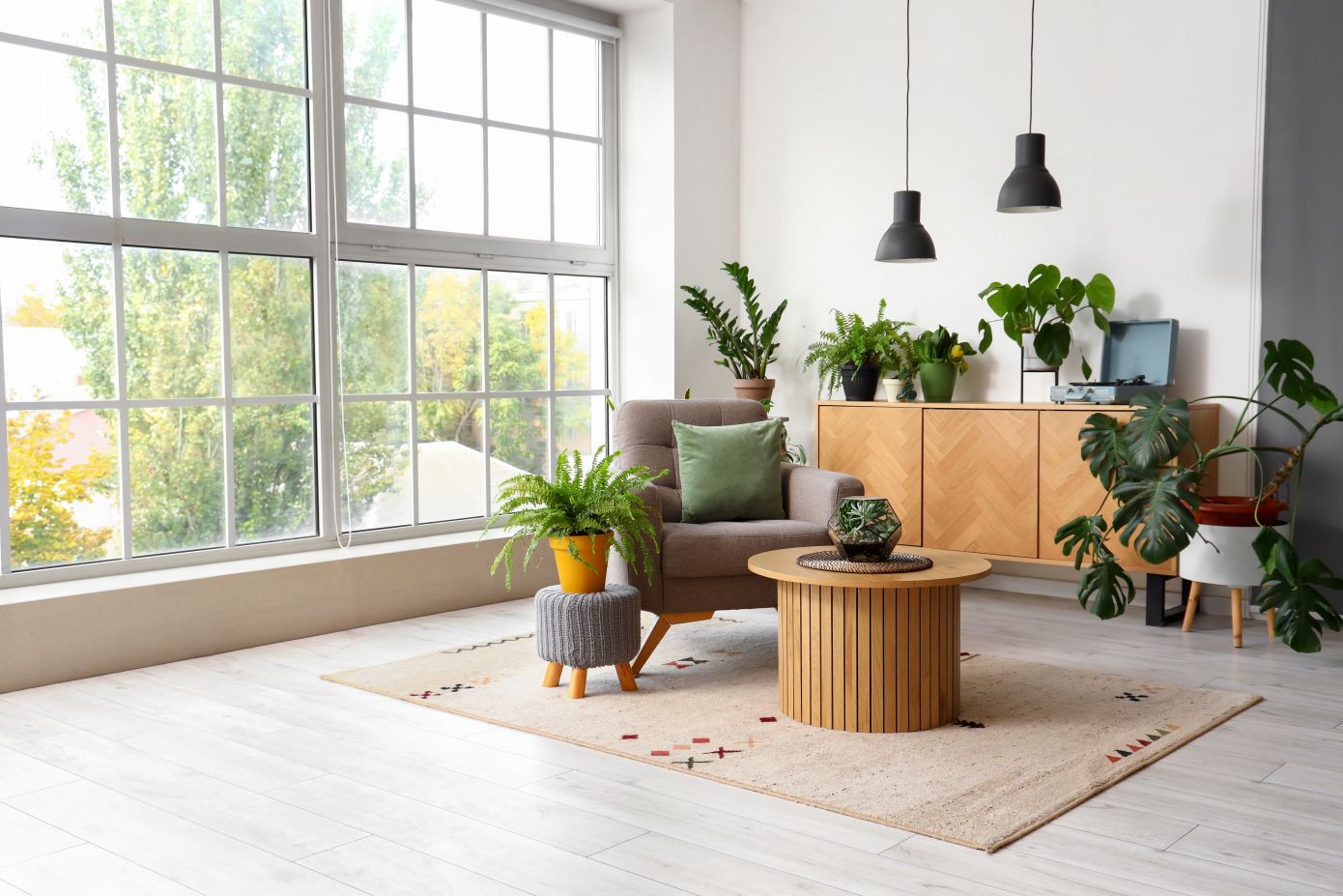 6 φυτά που μειώνουν την υγρασία στο σπίτι λειτουργώντας σαν φυσικοί αφυγραντήρες