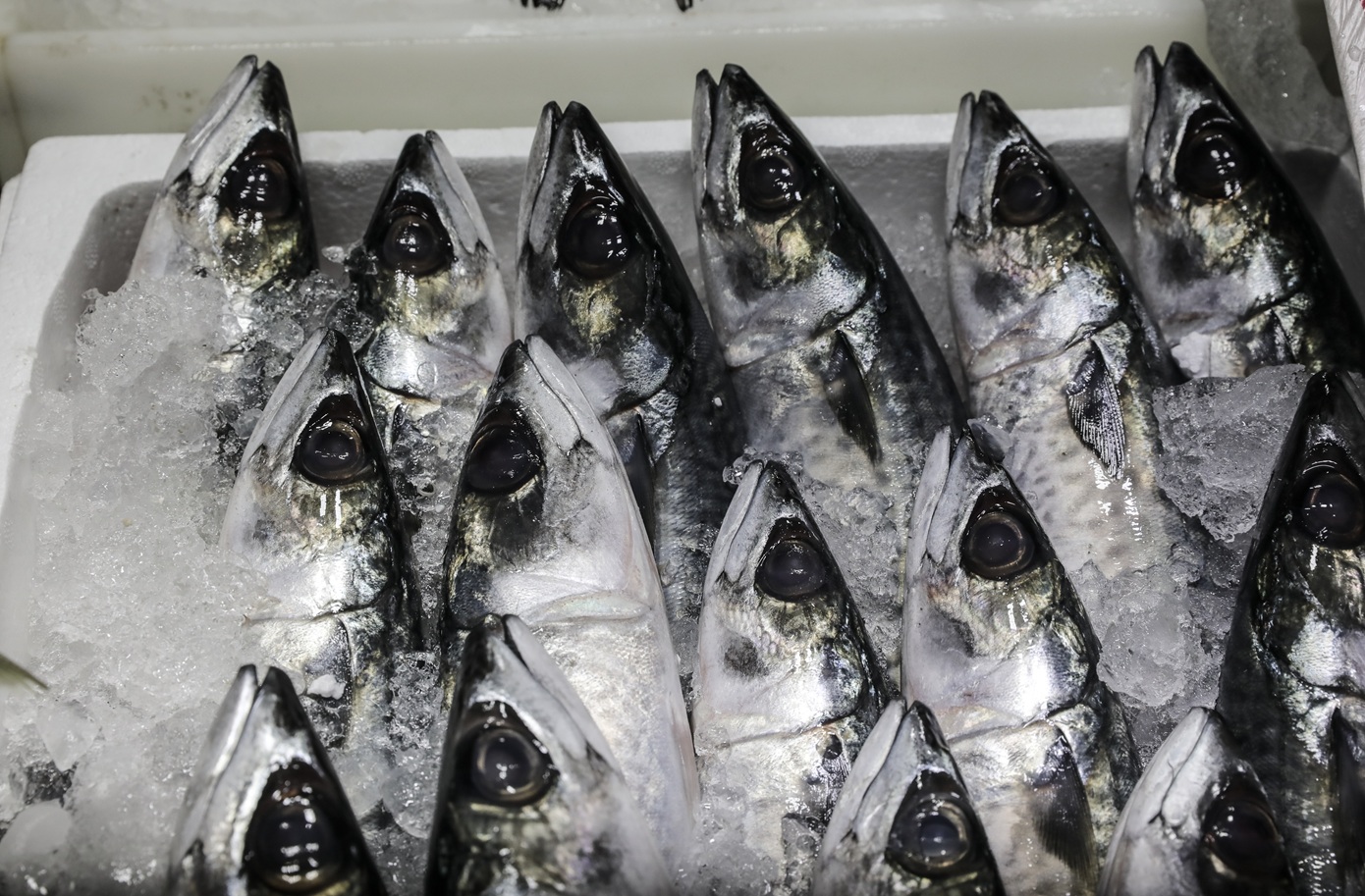 Επιχείρηση για την καταπολέμηση του παρεμπορίου στις παρυφές λαϊκών αγορών του Πειραιά &#8211; Κατασχέθηκαν ποσότητες ψαριών