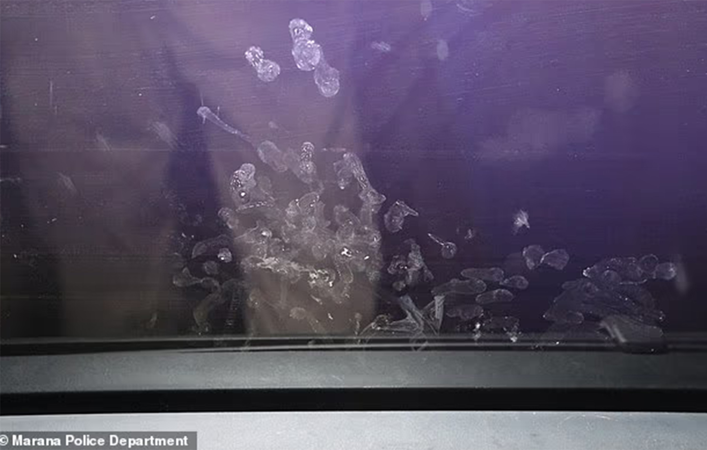 Η τραγική ιστορία της 2χρονης Πάρκερ: Μικροσκοπικά χεράκια ζητούσαν βοήθεια μέσα σε ένα αυτοκίνητο που έβραζε