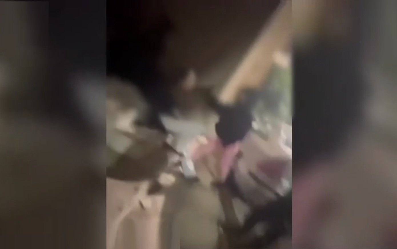 «Την κλωτσούσαν, την έφτυσαν» &#8211; Βίντεο-σοκ με τον ξυλοδαρμό 13χρονης από συνομήλική της για ένα αγόρι