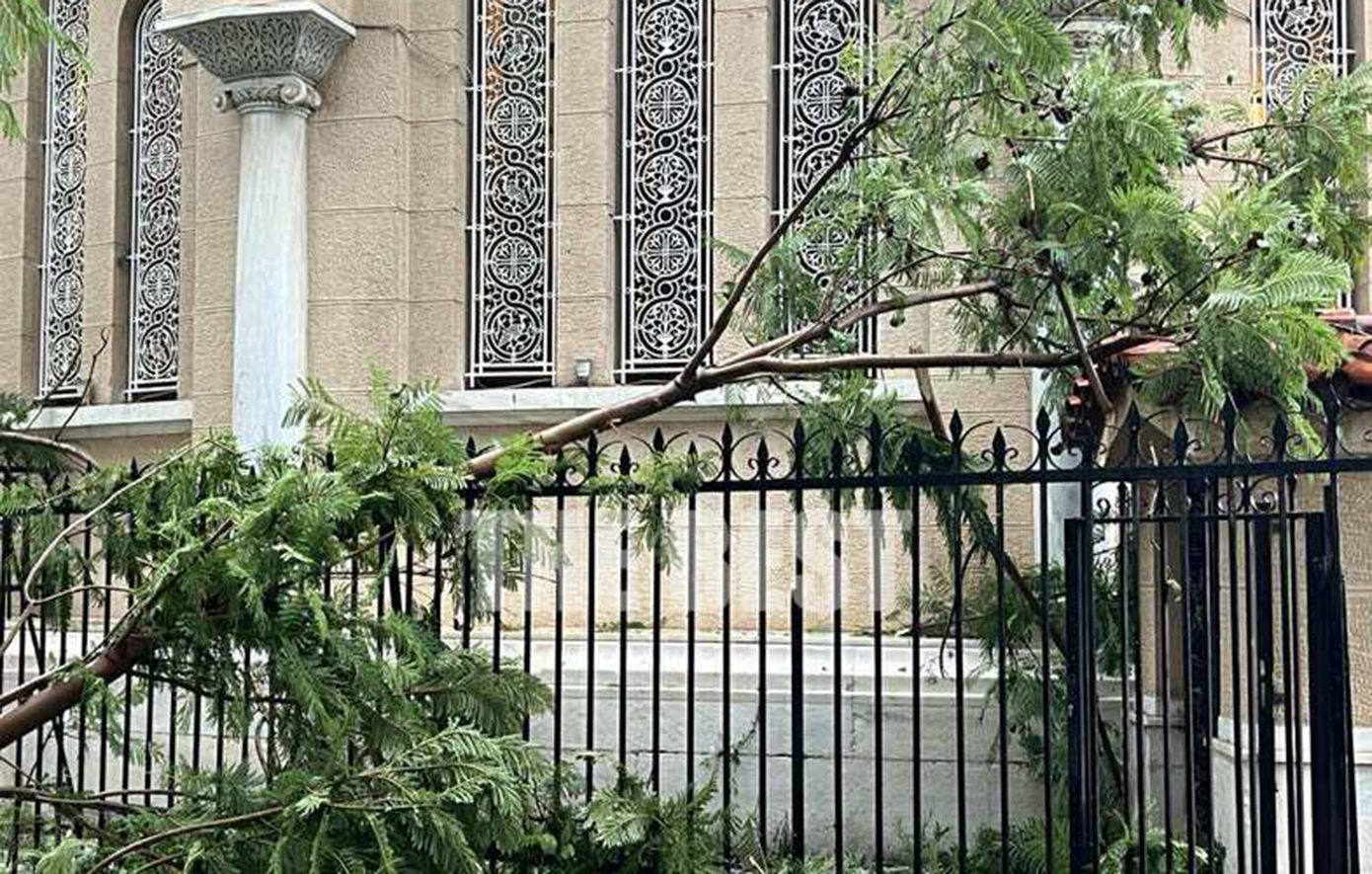 Πάτρα: Ξεριζώθηκαν κι έσπασαν πάνω από δέκα δέντρα από τον αέρα στον περίβολο του Αγίου Ανδρέα