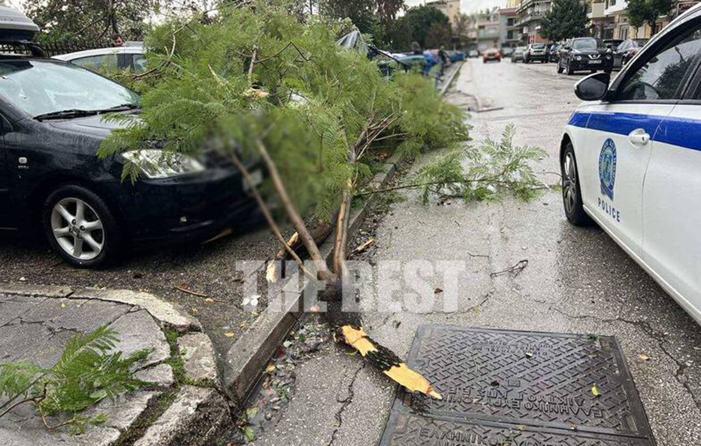 Πάτρα: Ξεριζώθηκαν κι έσπασαν πάνω από δέκα δέντρα από τον αέρα στον περίβολο του Αγίου Ανδρέα