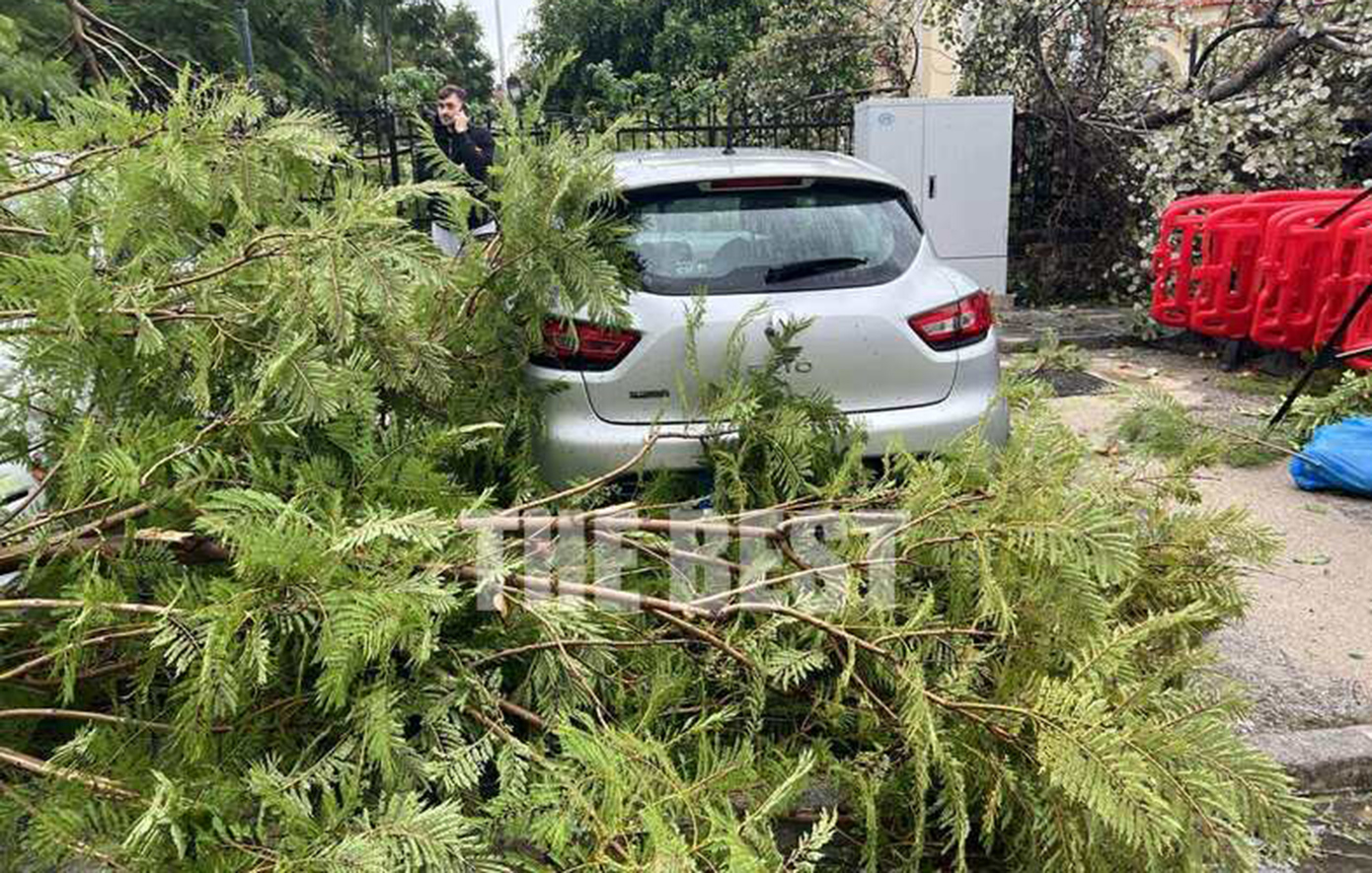 Πάτρα: Ξεριζώθηκαν κι έσπασαν πάνω από δέκα δέντρα από τον αέρα στον περίβολο του Αγίου Ανδρέα