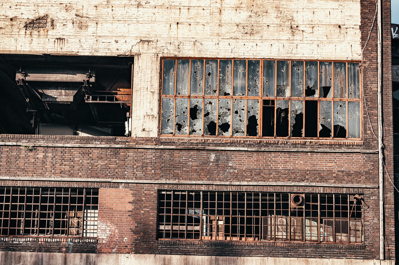 Η μυστηριώδης μαύρη μούχλα του Τσερνόμπιλ που τρέφεται με ακτινοβολία &#8211; Πώς ενδέχεται να βοηθήσει την ανθρωπότητα