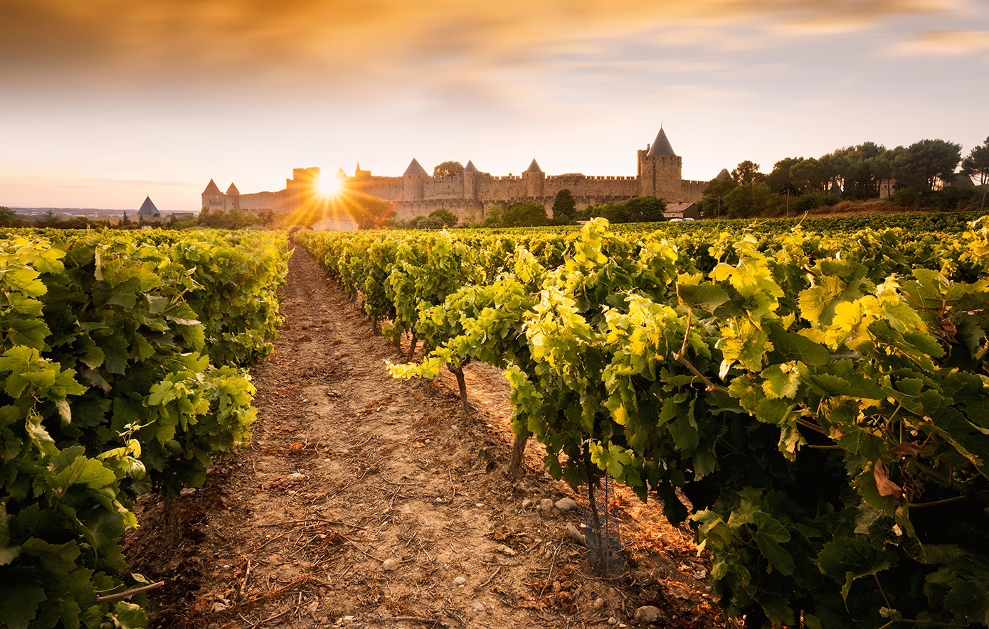 Καρκασόν Γαλλία