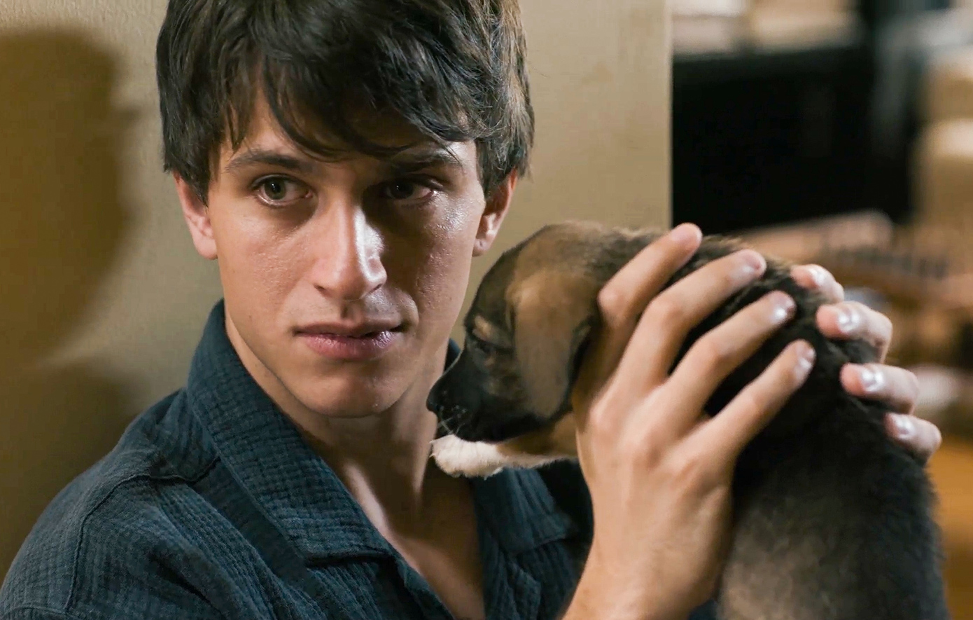 Ο Δικαστής Ο Δικαστής