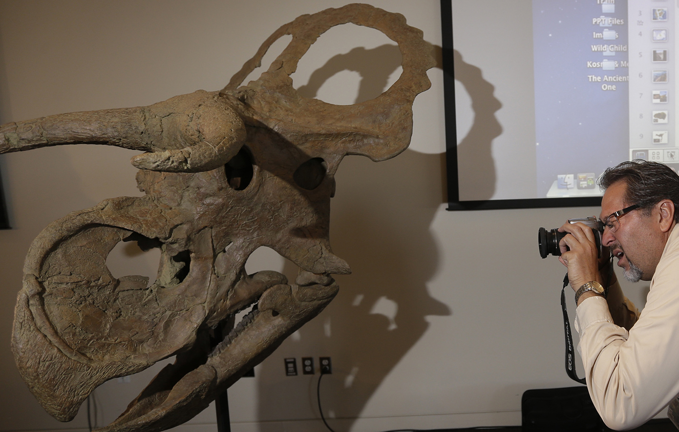 Βρετανία: Kατάσχεσαν οστά δεινοσαύρων από επιχειρηματία, ανεκτίμητης αξίας