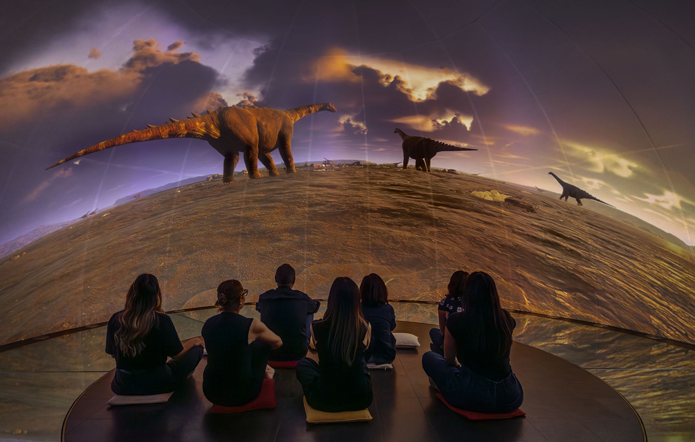 Το Μουσείο Γουλανδρή ανακηρύχθηκε Εθνικό Μουσείο Φυσικής Ιστορίας – Μια νέα εποχή για τη γνώση και την προστασία της φύσης