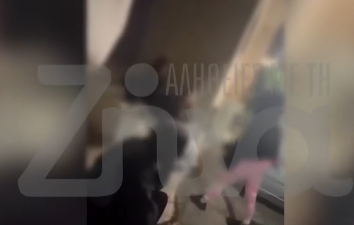 Άγριο βίντεο με ξυλοδαρμό 13χρονης στο Περιστέρι με αφορμή ένα αγόρι &#8211; «Ότι είναι πρώην της δεν στο είπε κανείς;»