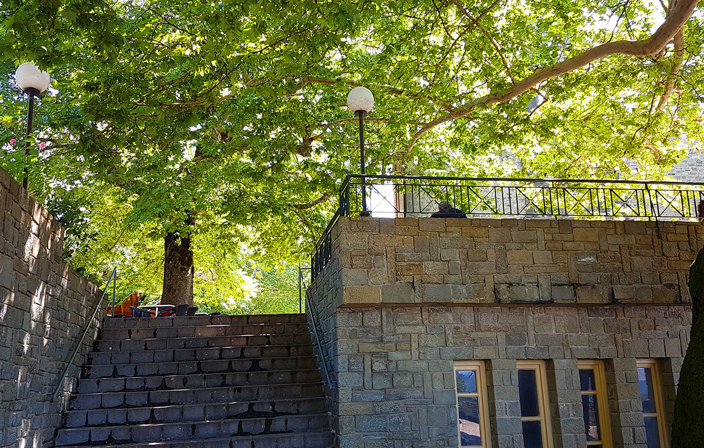 Κυψέλη Τζουμέρκα Κυψέλη Τζουμέρκα