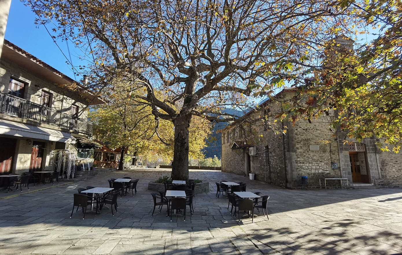 Κυψέλη Τζουμέρκα Κυψέλη Τζουμέρκα