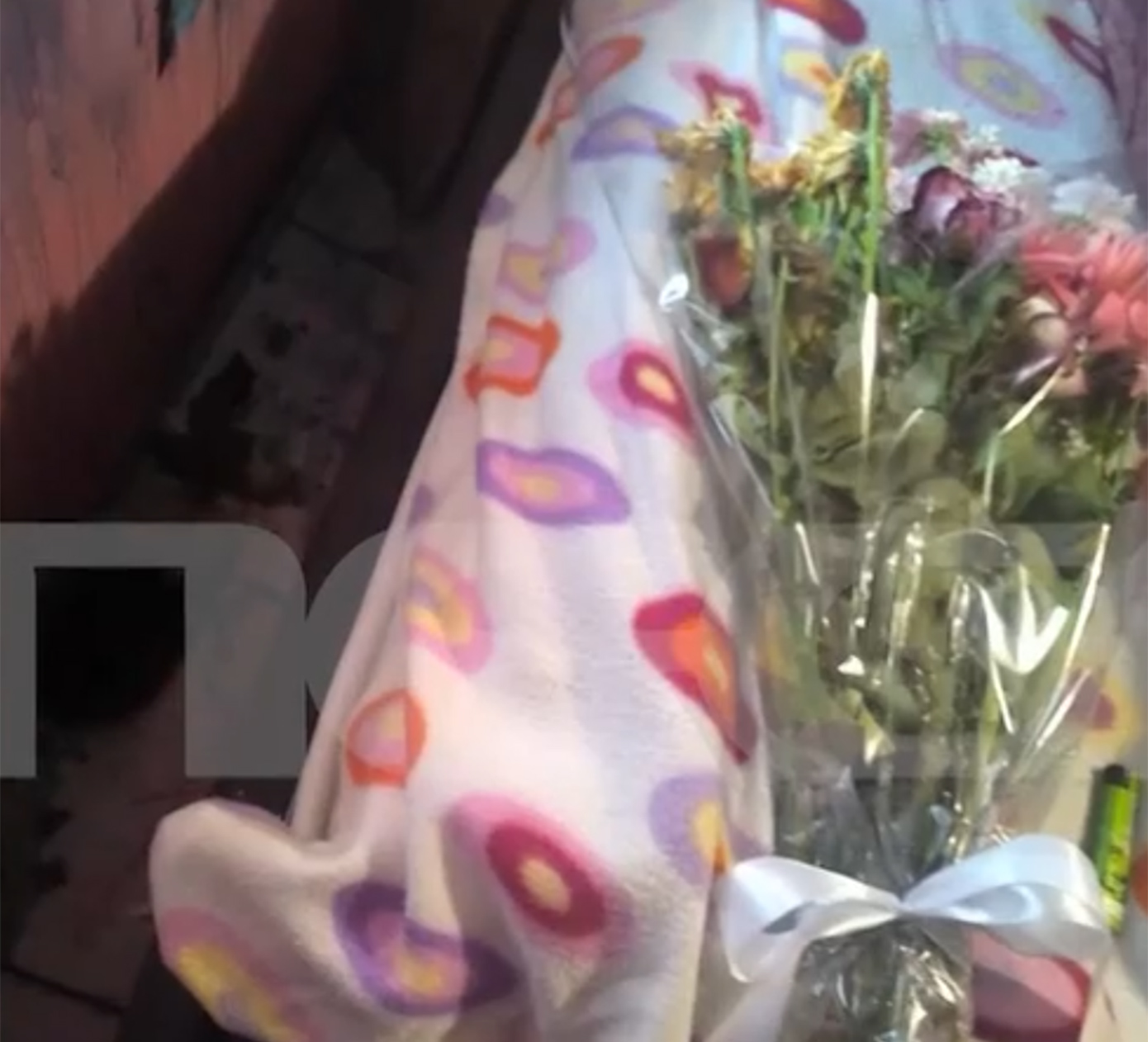 σαλαμινα σαλαμινα