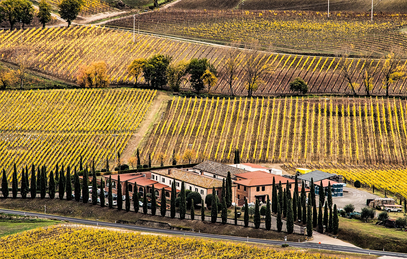 Montalcino, Τοσκάνη Montalcino, Τοσκάνη