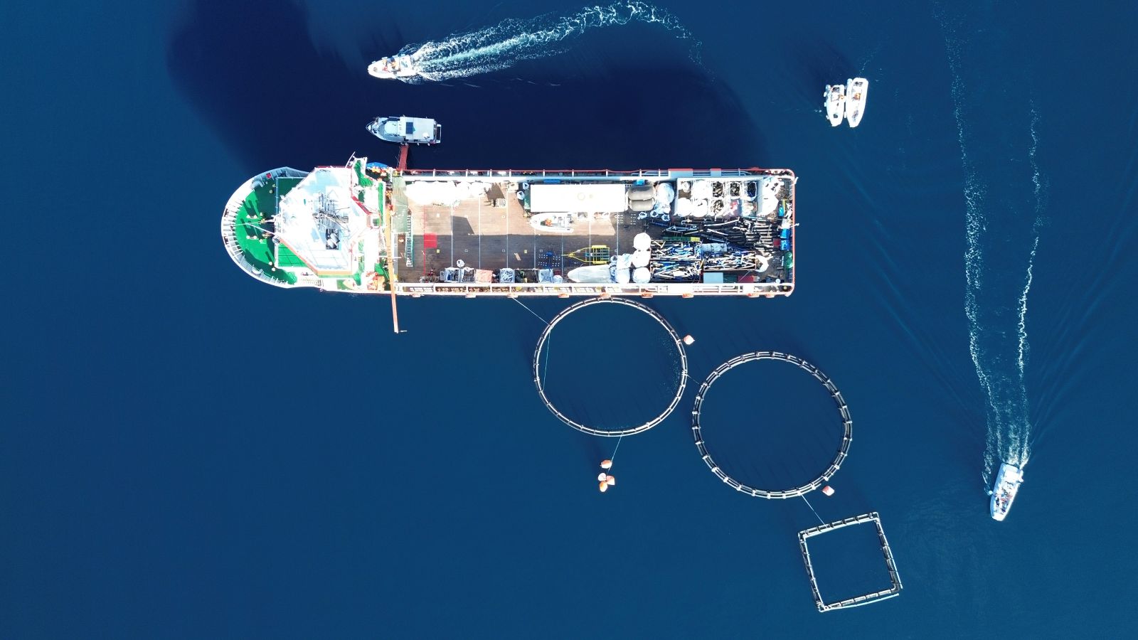 Στρατηγική συνεργασία για τον Σαρωνικό: 40 τόνοι απορριμμάτων απομακρύνθηκαν από εγκαταλελειμμένη μονάδα ιχθυοκαλλιέργειας