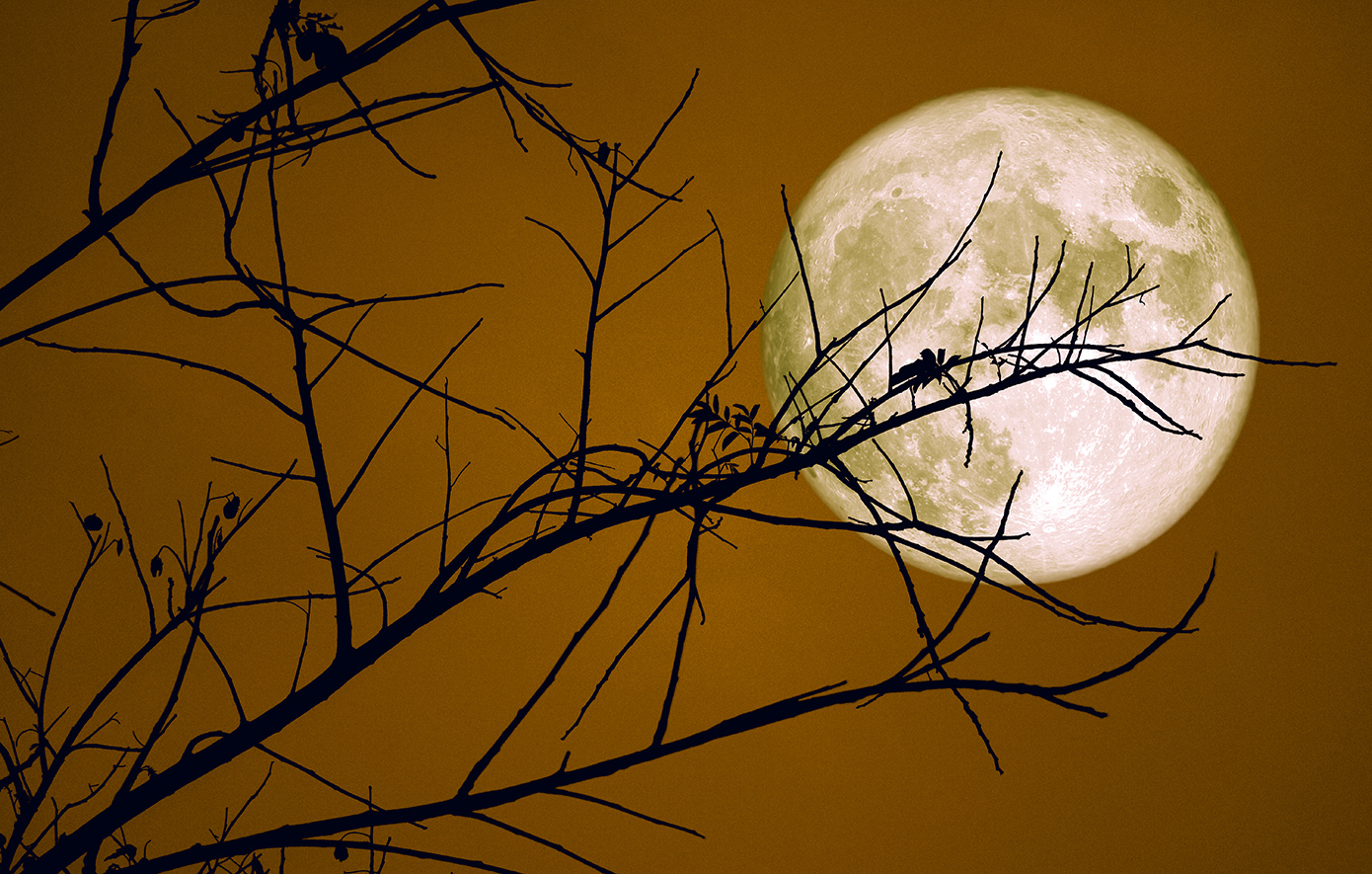 Φεγγάρι του Κάστορα: Απόψε η  πανσέληνος του Νοεμβρίου και οι συμβολισμοί της