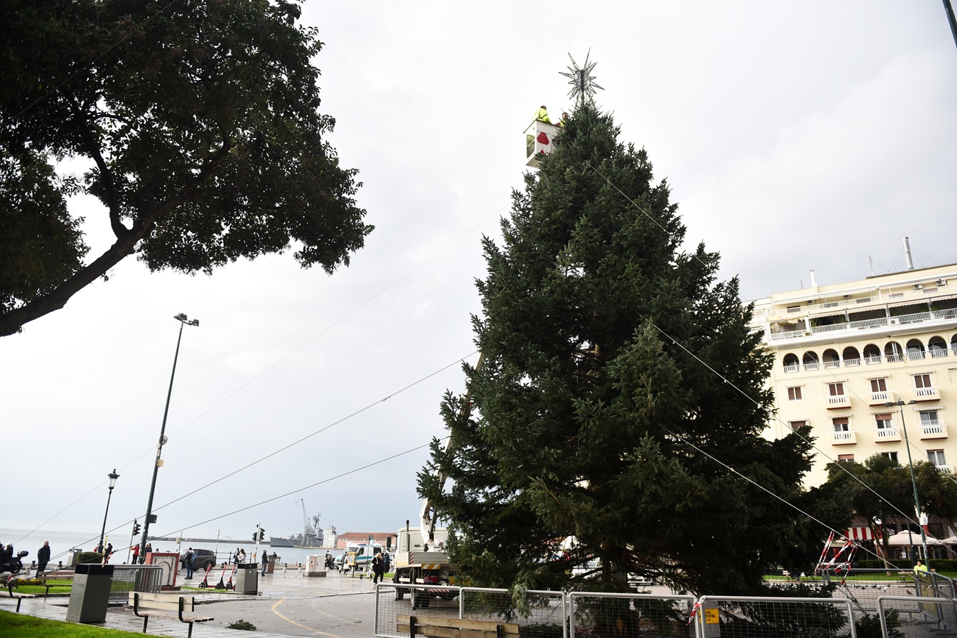 «Μύρισε» Χριστούγεννα στην Θεσσαλονίκη &#8211; Μπήκε το δέντρο στην Αριστοτέλους, ξεκινούν οι στολισμοί