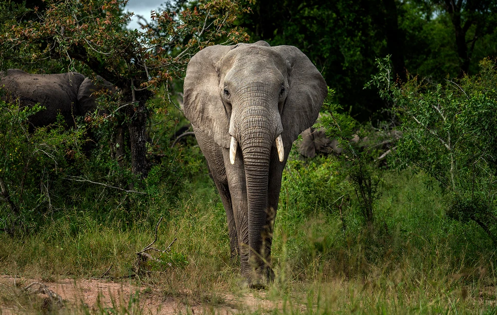 Η άχρηστη πληροφορία της ημέρας 9/11/2025