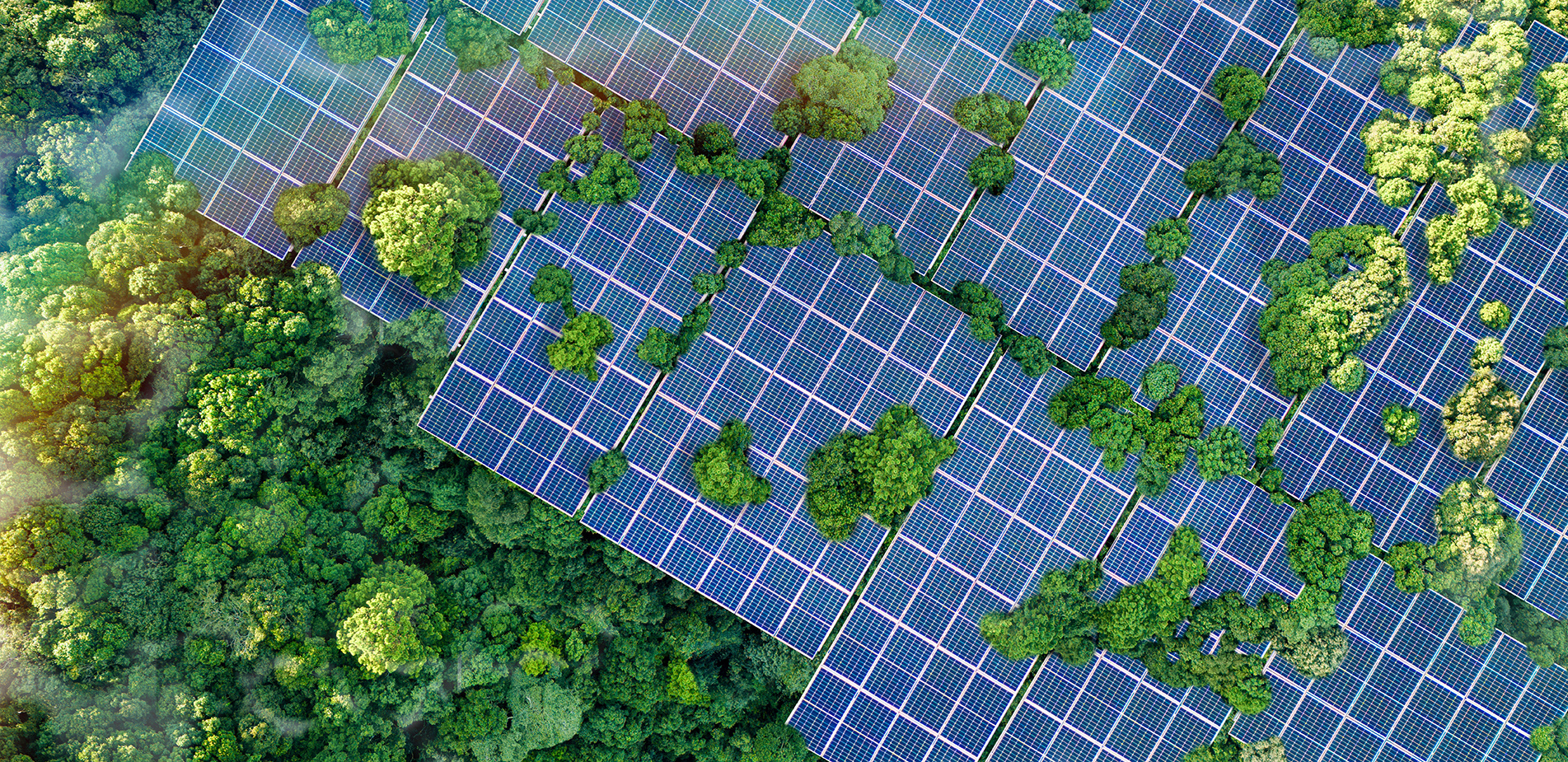 Πόλεις που αναπνέουν ξανά: Πώς η πράσινη ενέργεια και το net-zero αλλάζουν το μέλλον γύρω μας